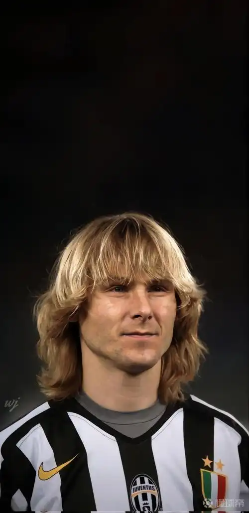 手机壁纸分享内德维德