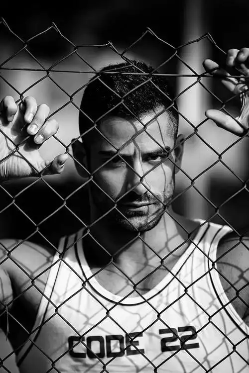 sheep的相册jonathanguijarro