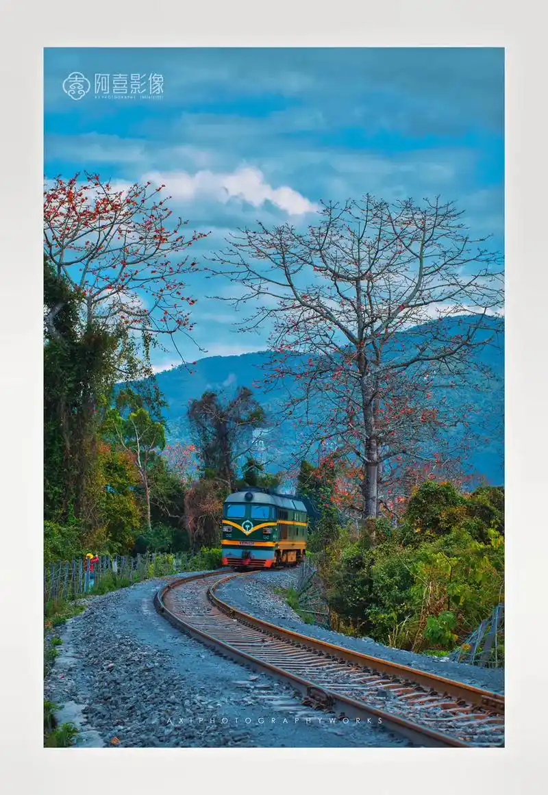 开往春天的绿皮火车.#摄影生活 #身边的风景 #乡村美 #乡 - 抖音