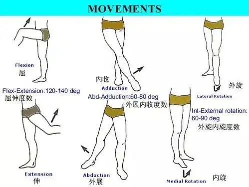一活动髋部就觉得紧张怎么办,教你如何全面提升髋关节活动度