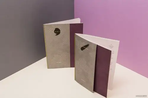 45个国外精装书籍画册封面设计 - a