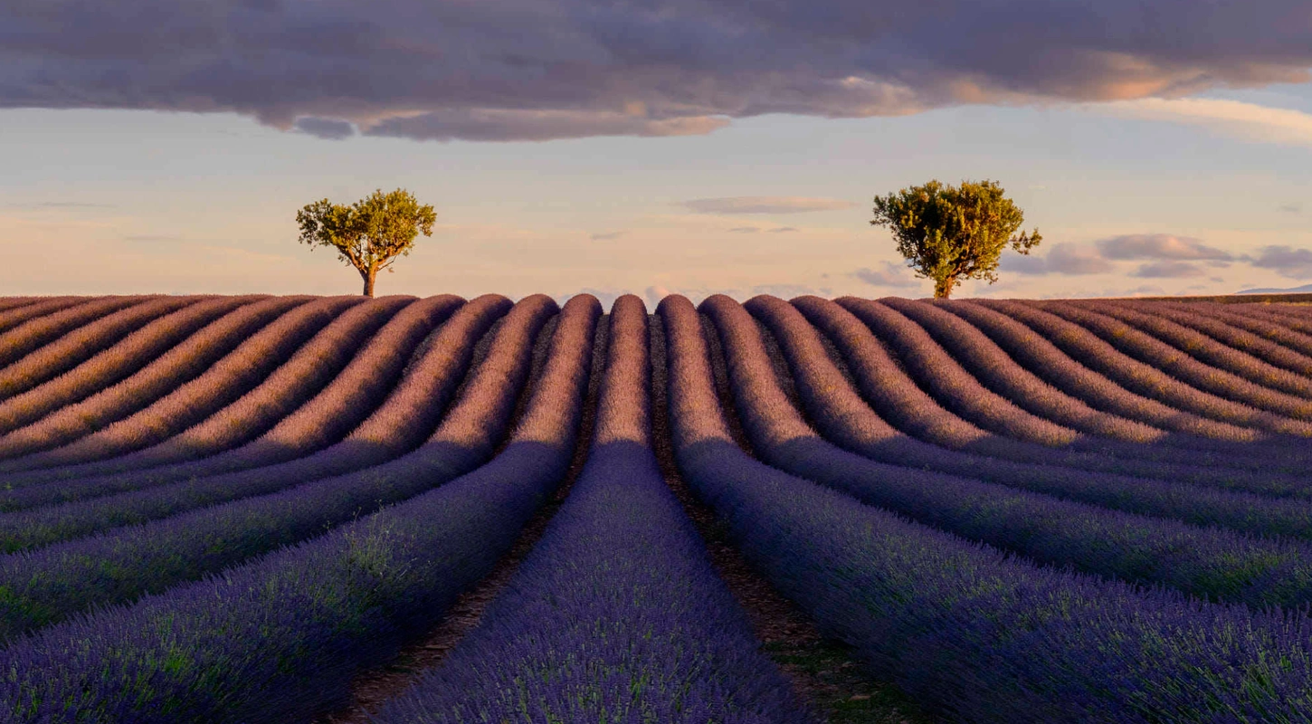 在摄影中,如何获得最大景深与最小景深?前期 后期,拍出好照片