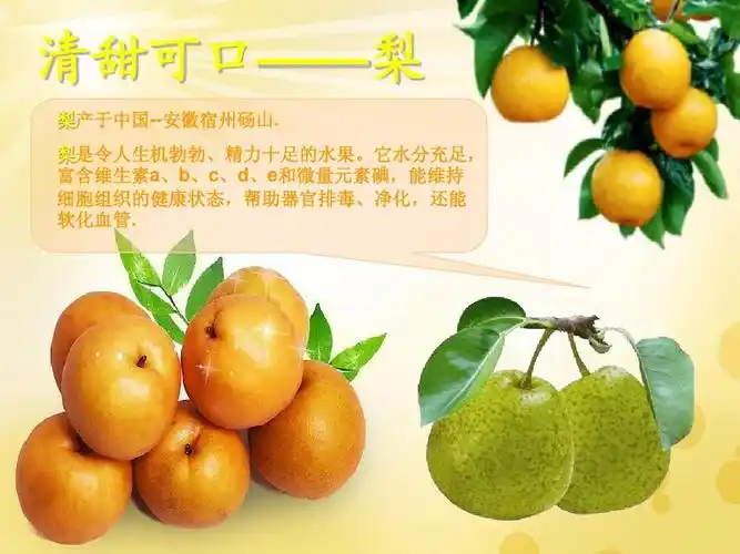 动画之水果种类介绍ppt