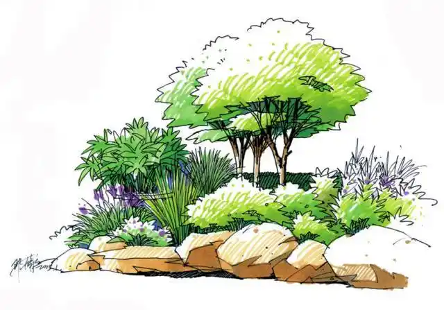 史上最全 | 手绘教程,教你如何画好景观手绘