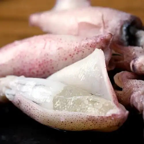 海兔新鲜冷冻包邮兔子满籽籽乌笔管海鲜水产冷冻鱿鱼