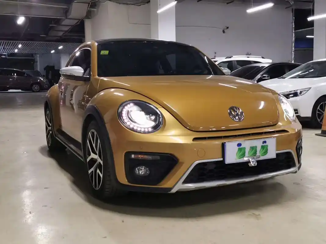 大众甲壳虫沙丘越野版