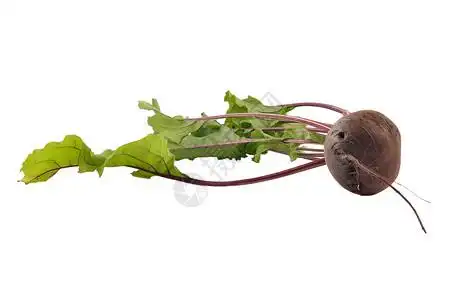 白甜菜白背景的甜菜果背景