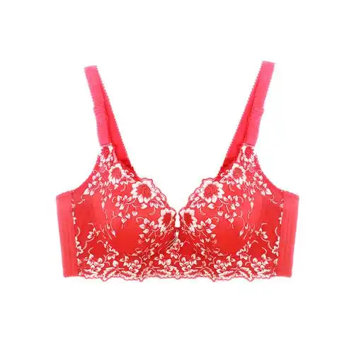 本命年大红色聚拢调整型女文胸罩 性感深v刺绣精品小胸收副乳内衣
