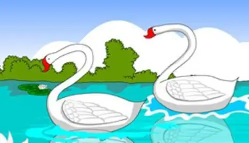 两只鹅简笔画彩色