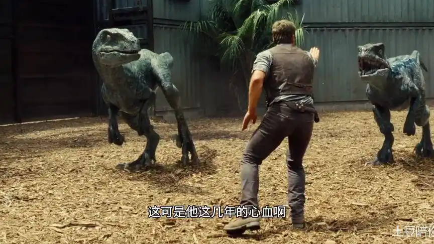 在侏罗纪公园中迅猛龙竟然被饲养员驯化了