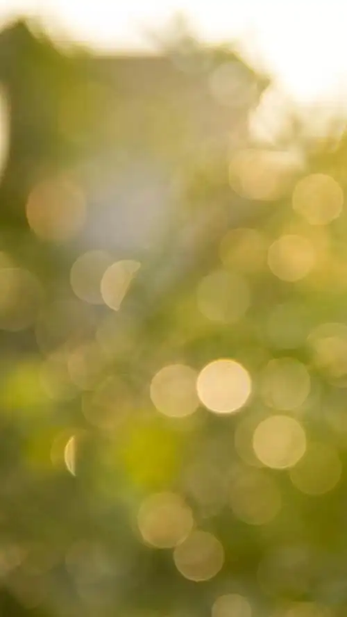 小清新风景模糊摄影h5背景