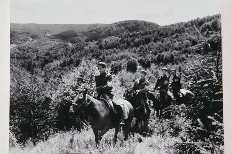 看到塞罕坝的老照片,我落泪了