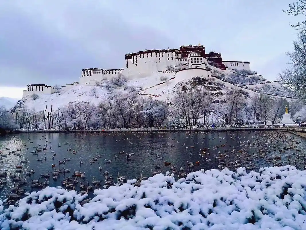 雄伟壮观的布达拉宫冬季背后景色