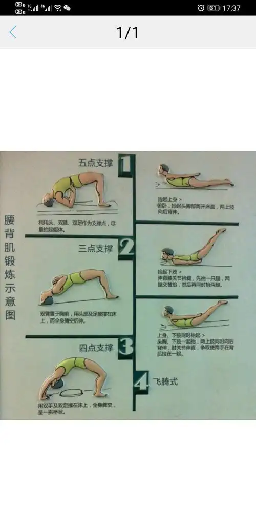 腰背肌肉锻炼示意图_腰椎间盘突出_腰椎间盘突出如何预防 - 好大夫