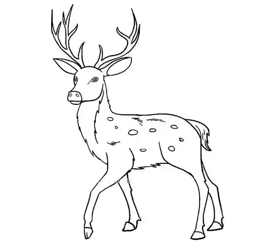 梅花鹿简笔画