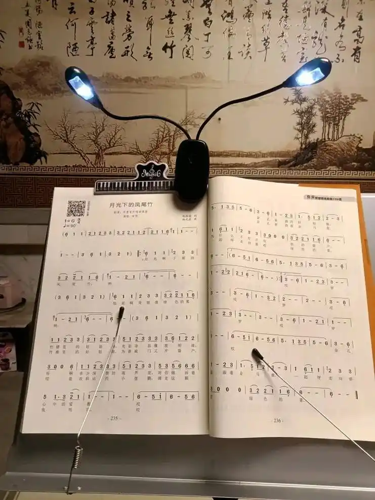 箶芦丝曲谱月光下的凤尾竹