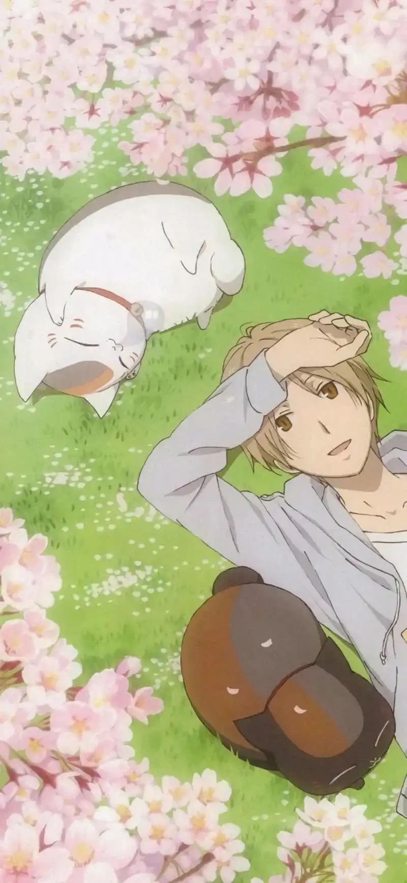 夏目友人帐 #手机壁纸 有一种温柔叫夏目 - 抖音