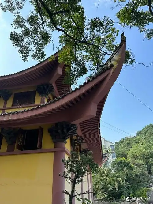 诗人白居易在《涂山寺独游》诗句中,写下"野径行无伴,僧房宿有期.