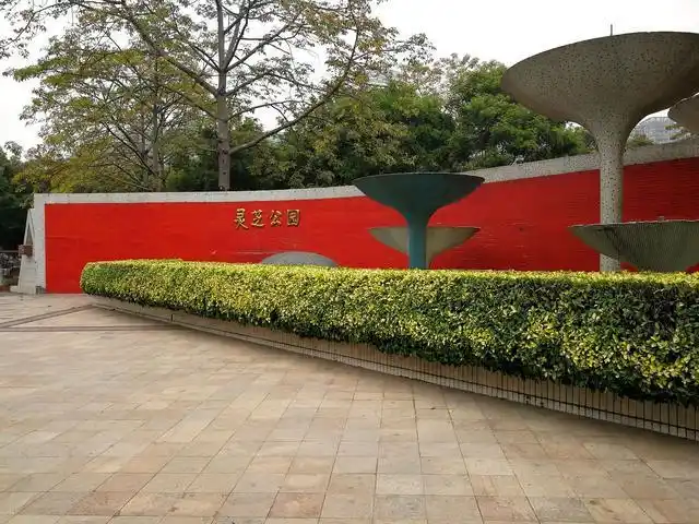 走进灵芝公园,是深圳宝安区年代最久远,建筑面积最大的公园之一