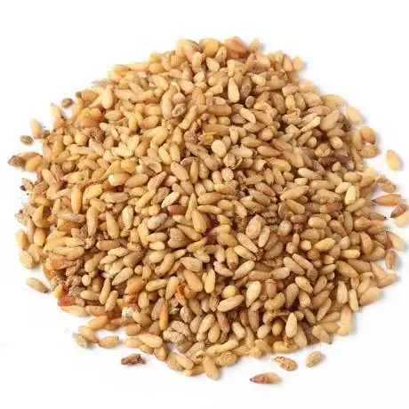 中药材柏子仁500克包邮 柏子仁 柏子仁野生 特级柏子仁正品