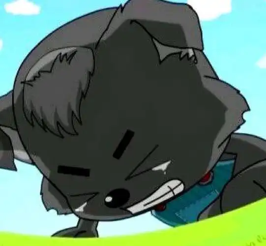 小灰灰的三个形态dj版秀气少女版呆萌老头版最经典