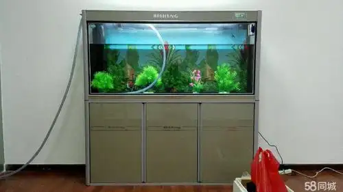 (转让)珠海hello园艺水族出售鱼缸水族箱