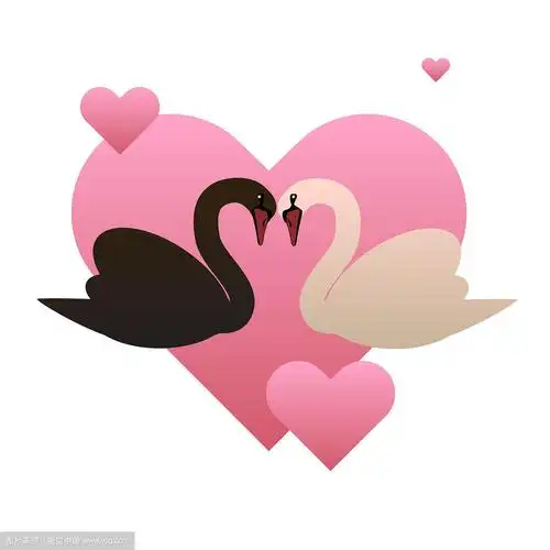 黑天鹅,白天鹅,红心