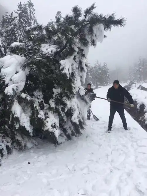 3月15日顶着大雪纷飞,冒着严寒酷暑就算道路被封堵无法阻挡去故障抢修
