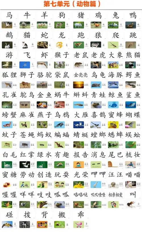 冯德全早教游戏识字卡片全套幼儿识字卡宝宝益智看图识字卡36岁