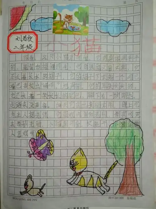 陈埭少年宫二年级看图作文——小猫