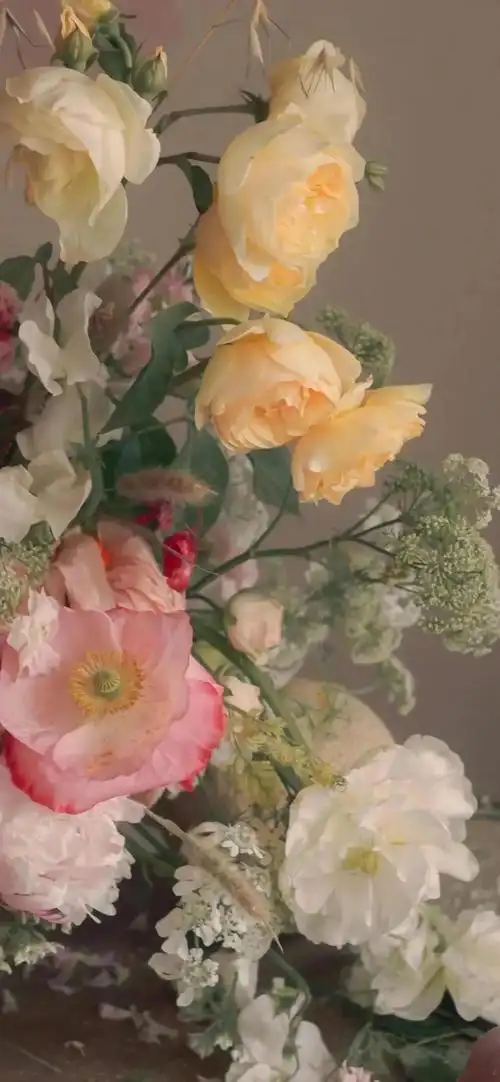 有没有很惊艳的背景图壁纸