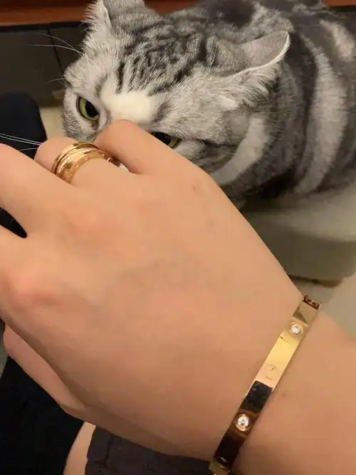 卡地亚18k玫瑰金手镯4钻男19号