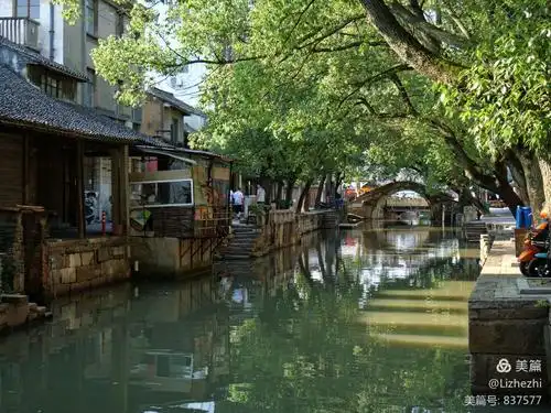芦墟古镇 活着的诗意江南