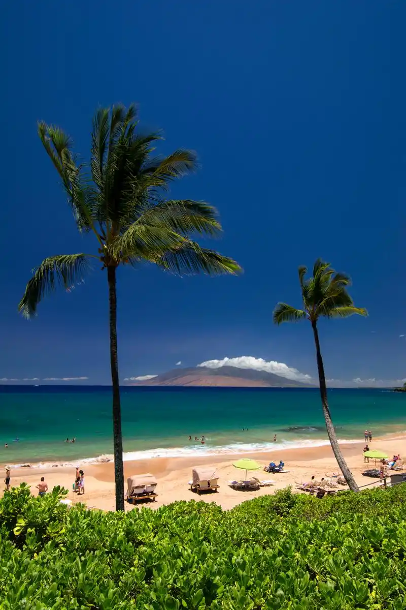 夏威夷大火约100人跳太平洋逃生# 夏威夷大火约100人跳太平洋逃生的