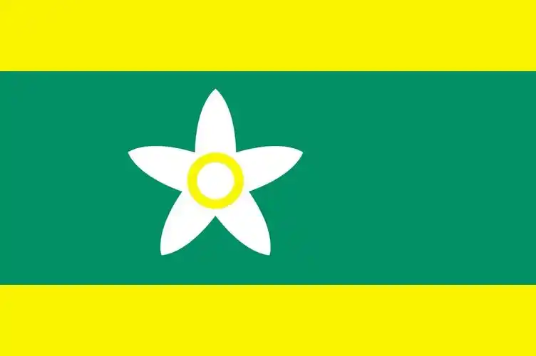 如果中国每个省都制定自己的省旗,都会是什么样子? - 知乎