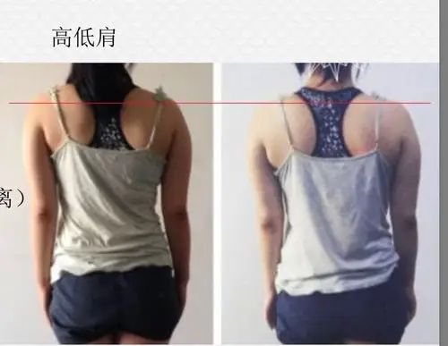 瑜伽文化协会会员福利来了