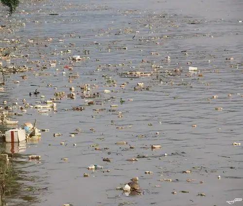 梅江河梅城段今天好多垃圾在水面飘
