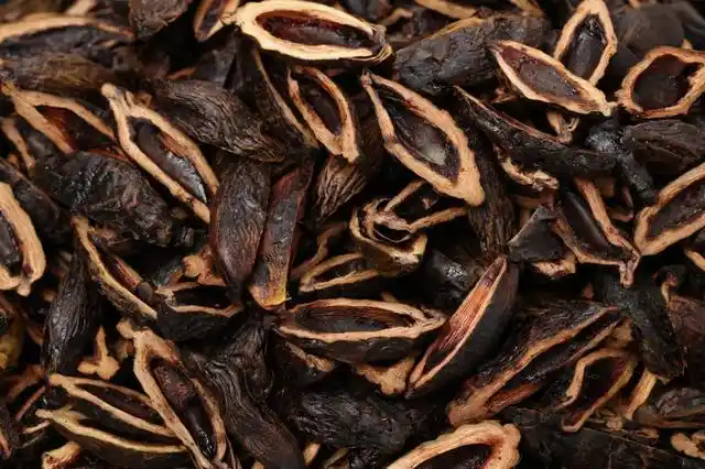 槟榔致癌为何不禁售?为什么湖南不产槟榔,却成为了"重灾区"?