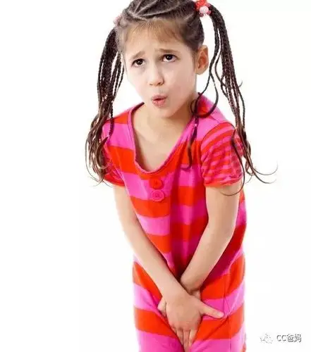 67如厕训练最好的时机来啦不把屎不把尿这样告别尿不湿最有效