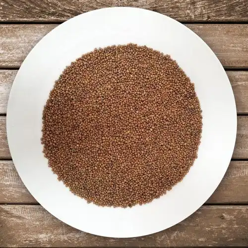 春季国产10克种子胡萝卜华誉研华秋季原厂园艺家庭园艺种子