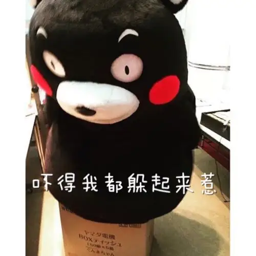 熊本熊表情包