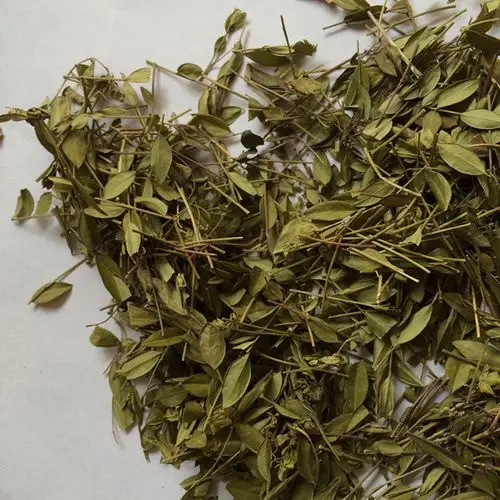 樟树市三皇中药材 批发中药材瓜子金 产后草 大货特价促销 各种中草药