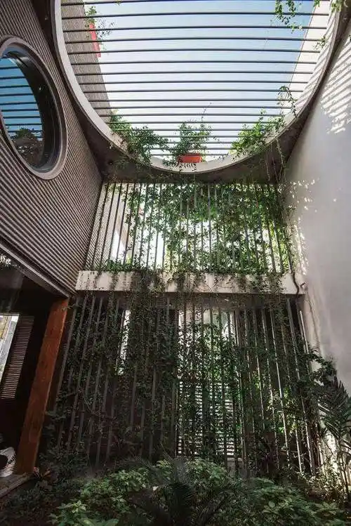 小天井装修效果图 小天井装修效果图外部 阳光房