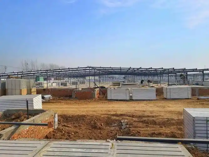 邳州的猪住上"小洋楼"!_养殖