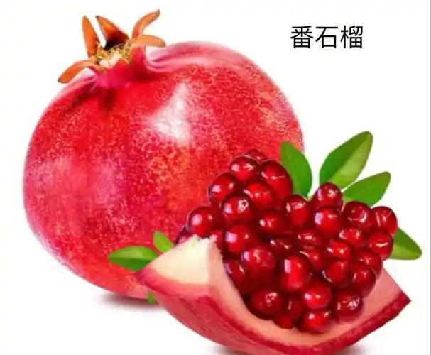 水果名字叫法不一样