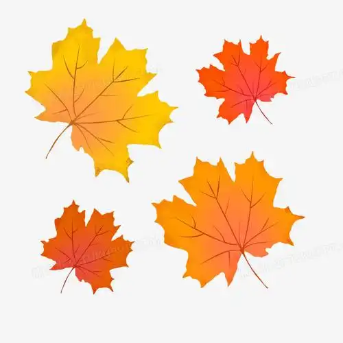 手绘卡通梧桐树叶装饰素材