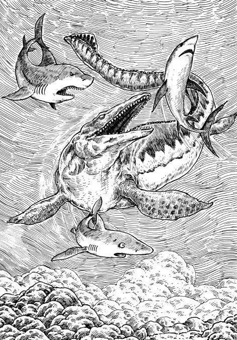 画巨齿鲨要怎么画-儿童简笔画大全鲨鱼简笔画巨齿鲨怎么画动物简笔画