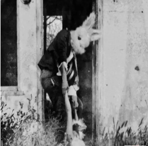 美国兔人杀人是真的吗美国恐怖兔人图片曝光