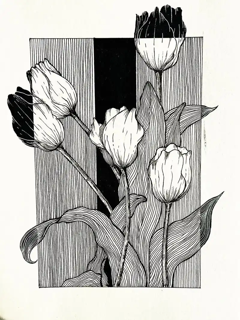 黑白装饰插画.在秋风萧瑟里画一支春天93#手绘 #一起学画画 - 抖音