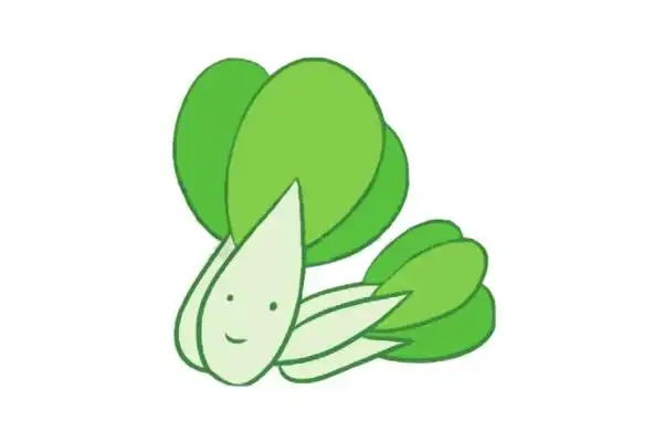 简单四步画出油菜简笔画的画法及图片大全